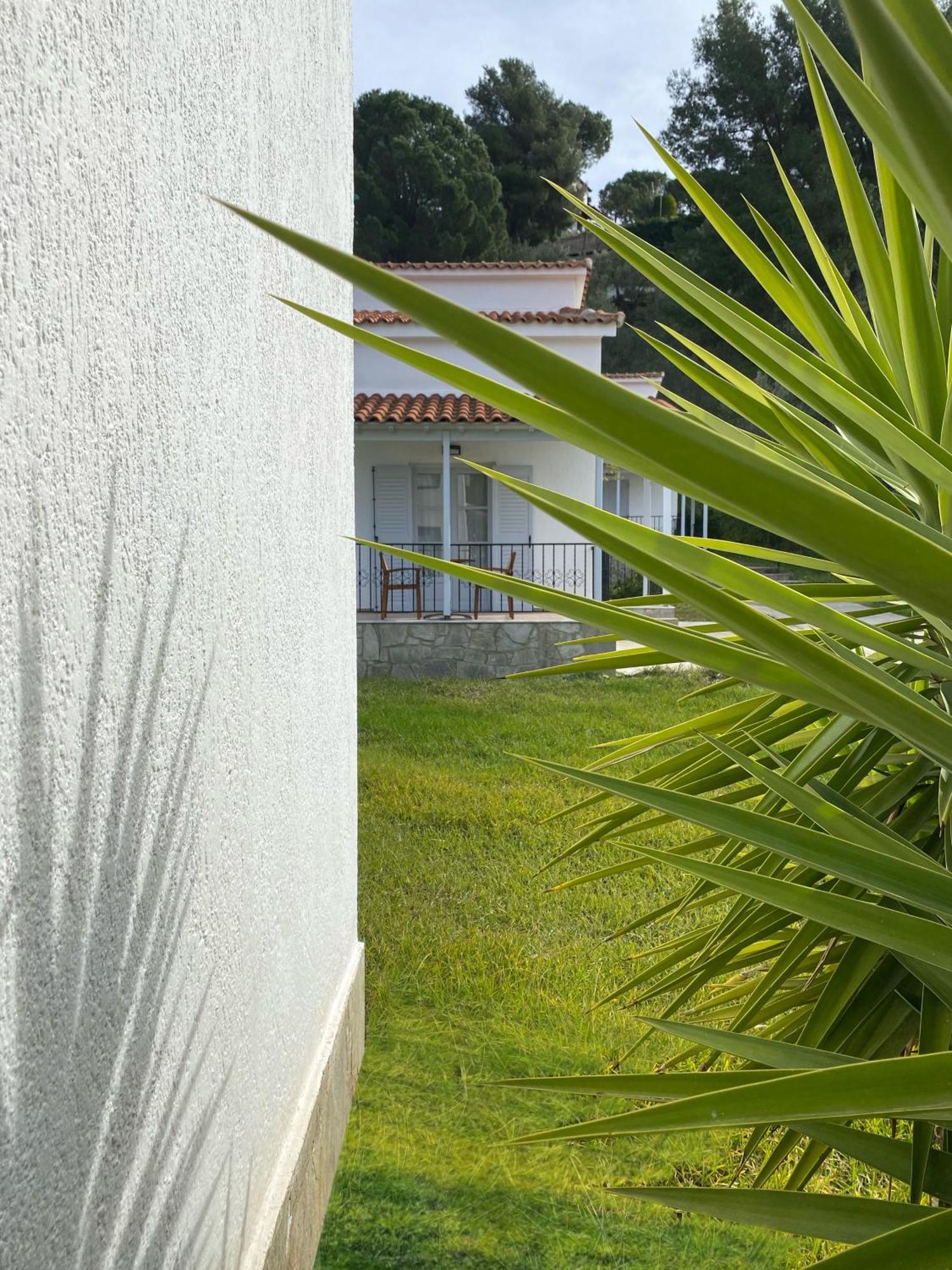 Calma Cottage スキアトスタウン エクステリア 写真